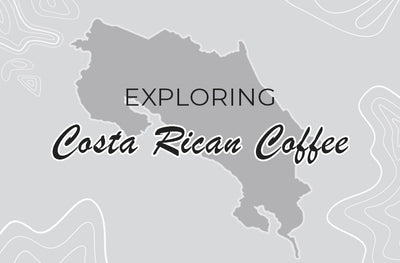 Costa Rica Coffee: Your Definitive Guide