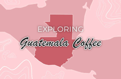 The Guatemala Coffee Guide: Everything You Need to Know About Guatemalan Coffee