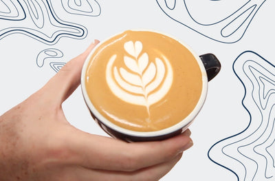 Tulip Latte Art Tutorial - Latte Art Bootcamp