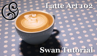 Lesson One - Swan Tutorial